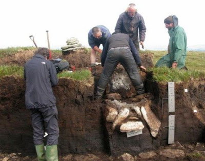 Dartmoor burial site gives up its 4,000-year-old secrets