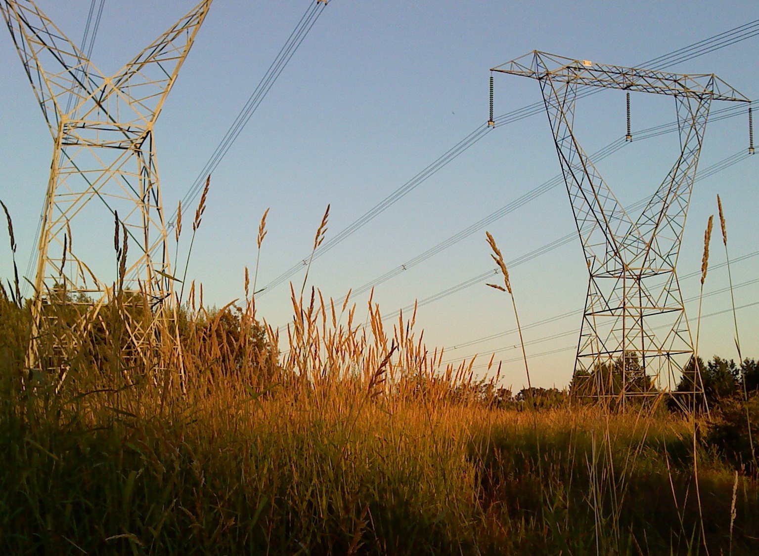 Essay on evening walk image