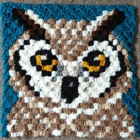 Horned Owl C2C Square