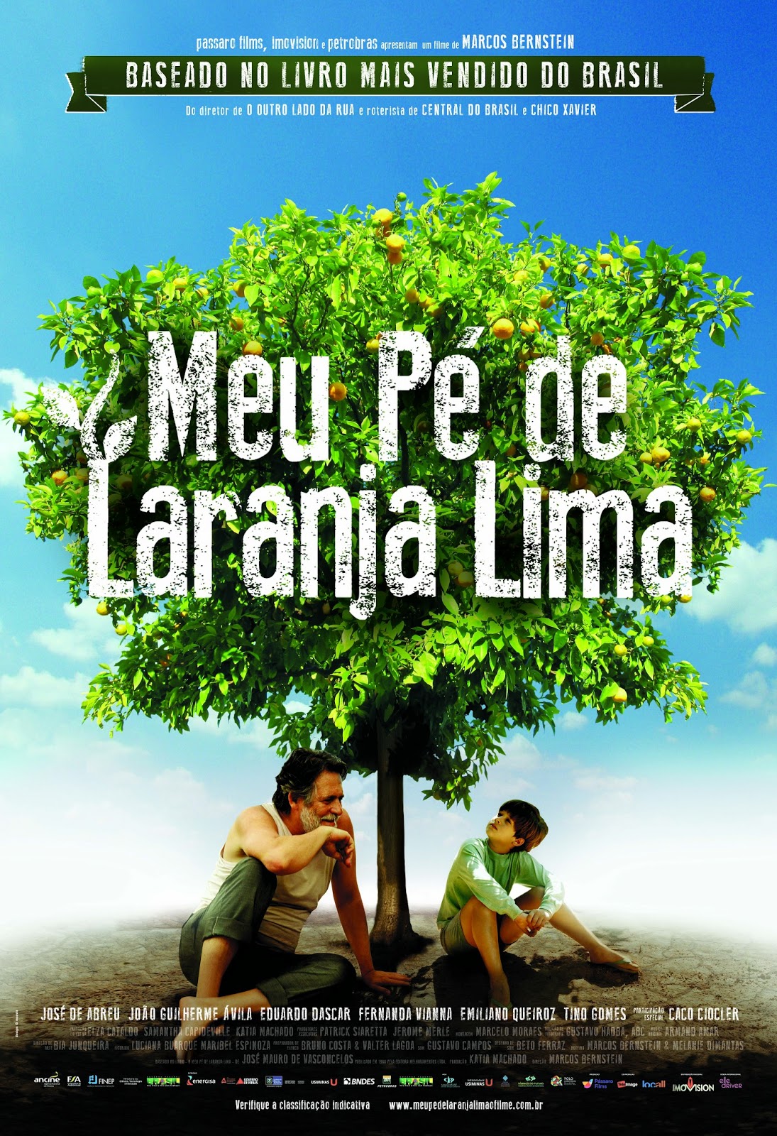 Resumo Do Livro Meu Pé De Laranja Lima - RETOEDU