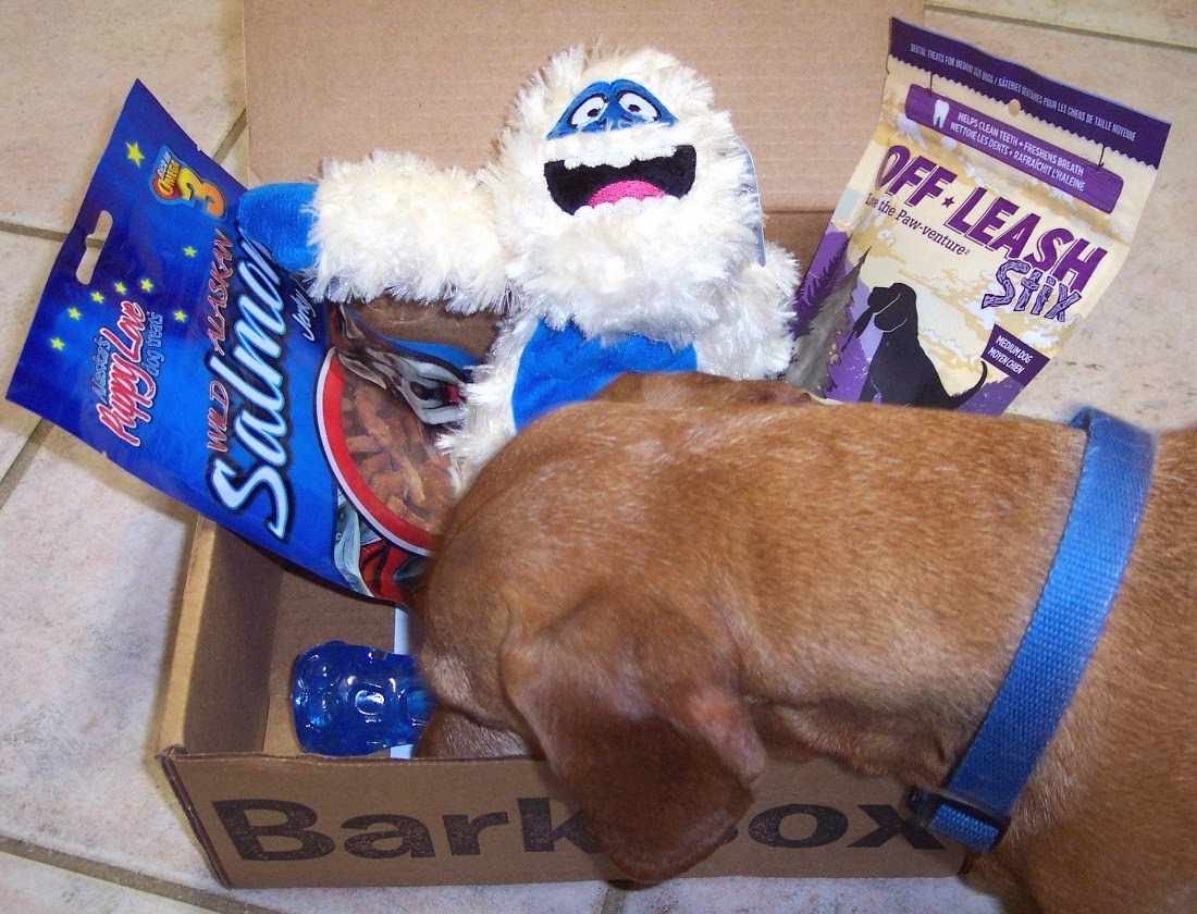 Lone Star Shopper BarkBox Dog Subscription Review, January 2015 + 10