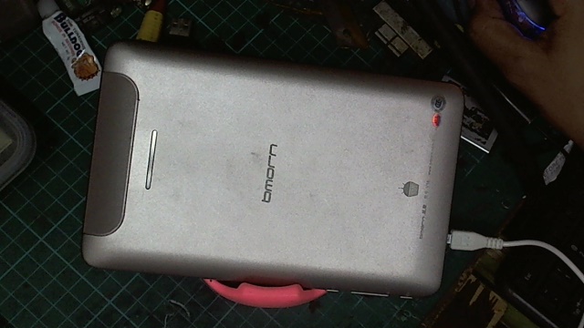 Picture%2B15.jpg