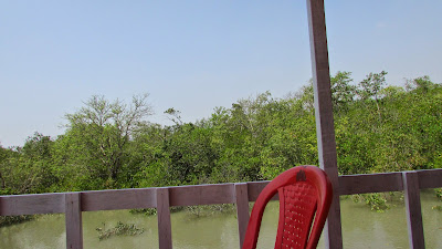 Sundarban Picture