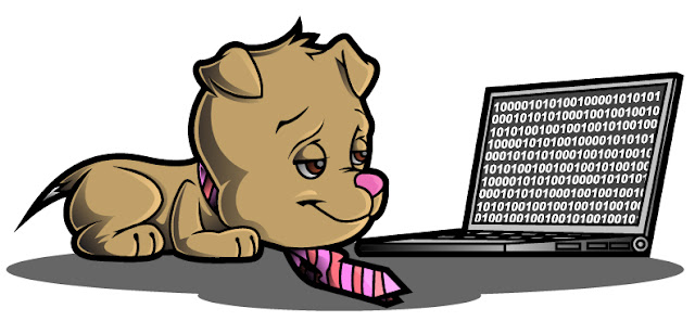 XSS Tools Sleepy Puppy XSS Scanner Hacking Tool