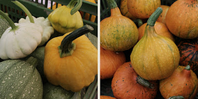 Pamelopee Pink Jumbo Banana Soup Kurbis Suppe