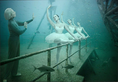 underwater photography exhibit
