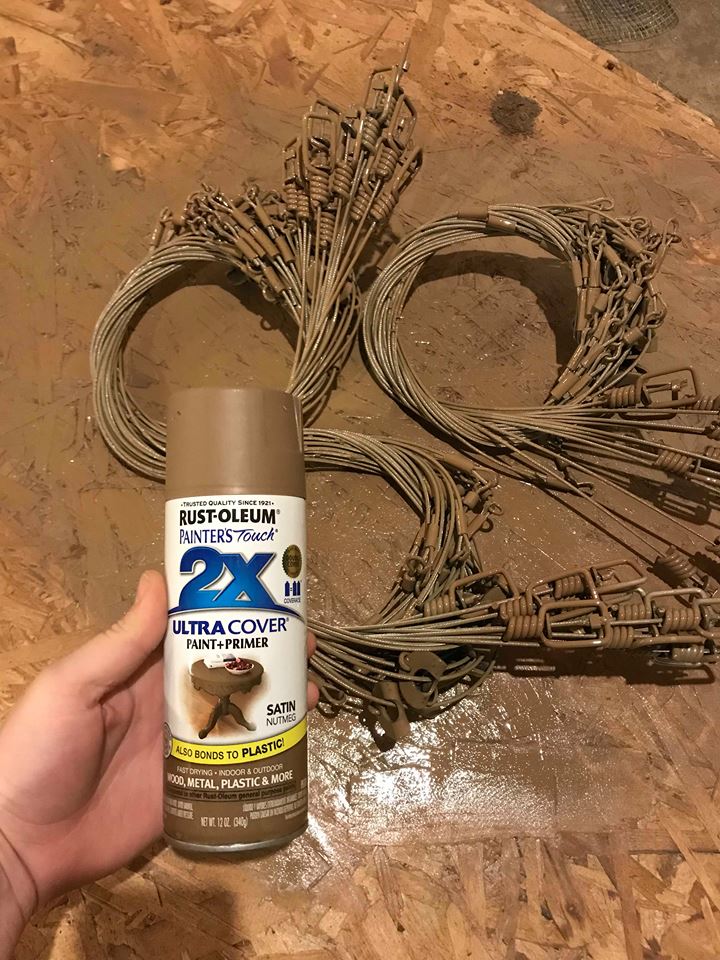 Skye Goode Wisconsin Cable Restraints The Basics