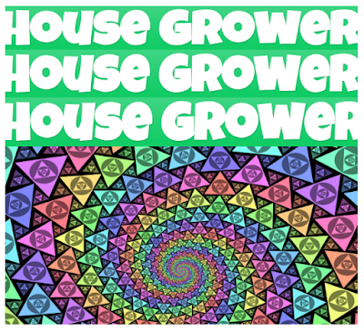 EBOOK: HOUSE GROWER