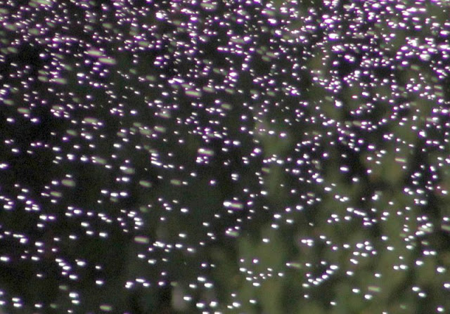 Naturwunder: Springbrunnen-Wassertröpfchen