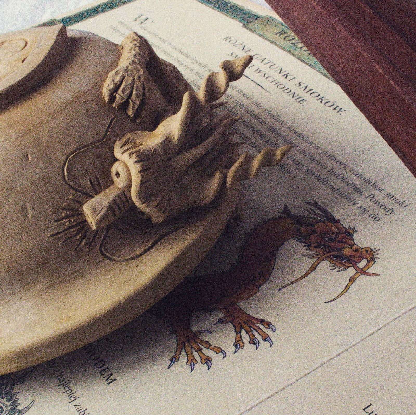 espressobonsai DRAGON BONSAI POT