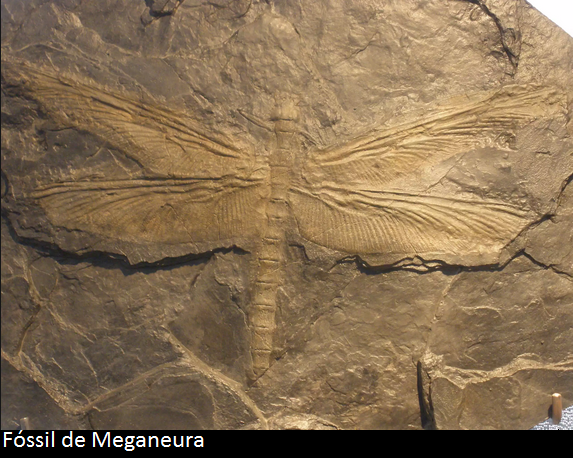 Good Night Poems for Him - Wishafriendcom