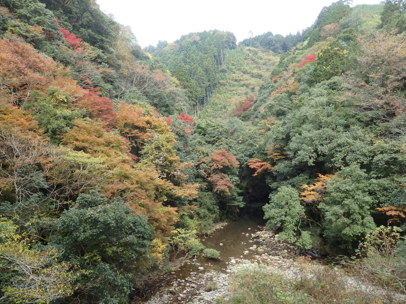 徒然おうどいろ日記 紅葉の木谷峡
