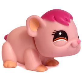 Littlest Pet Shop Globes Guinea Pig (#1406) Pet