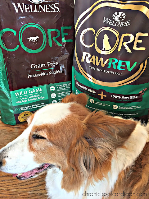 Dog Food Wellness Complete Healthy Weight Pet Suppliesplus Dog Food Wellness Complete Healthy Weight Pet Suppliesplus