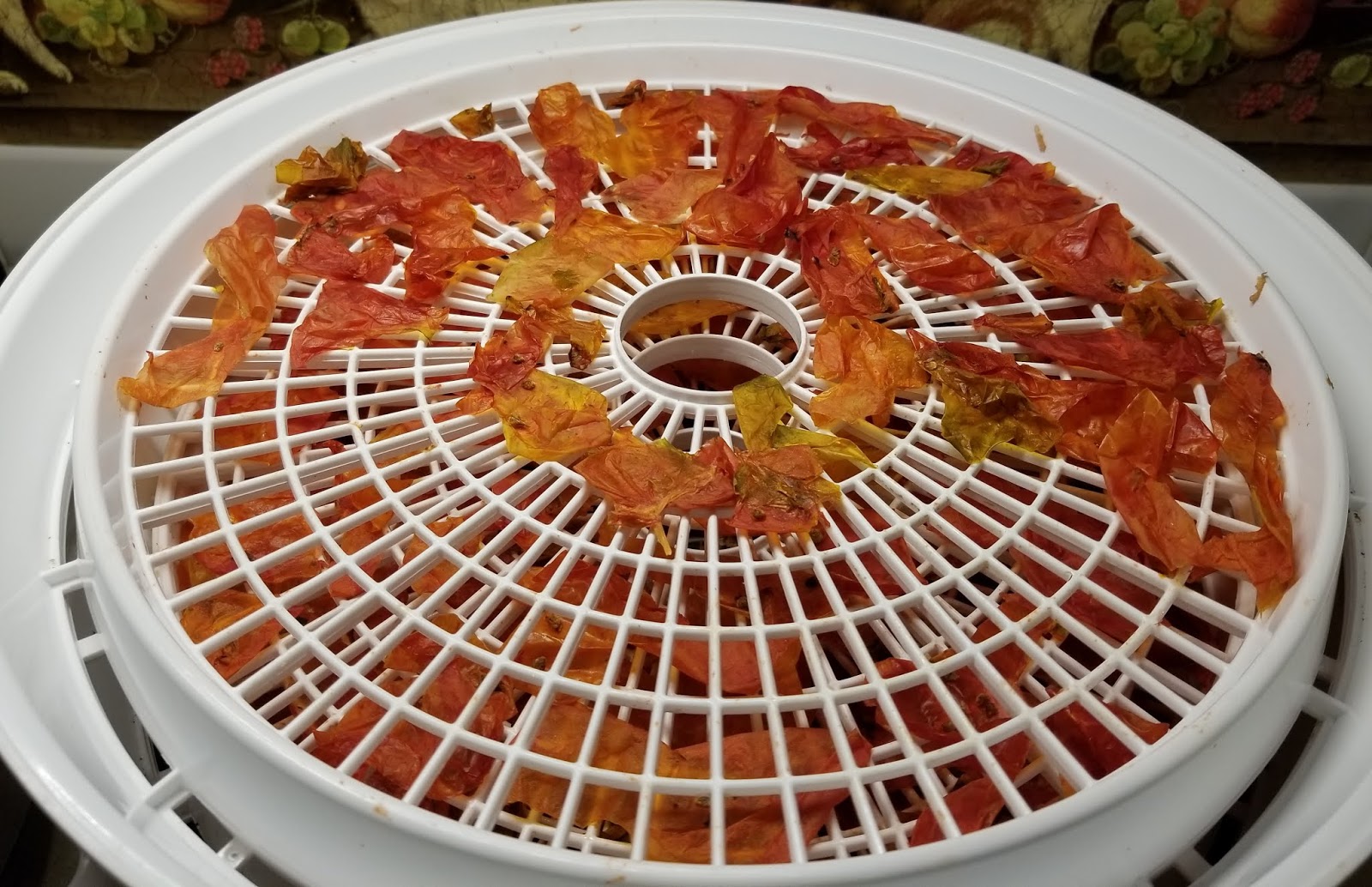 DEHYDRATING TOMATO SKINS TO MAKE TOMATO POWDER