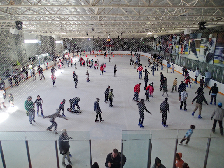 Tales of the Flowers: Ice Skating at the Toyota Sports Center