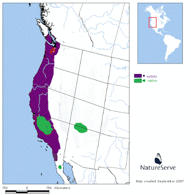 California Condor map