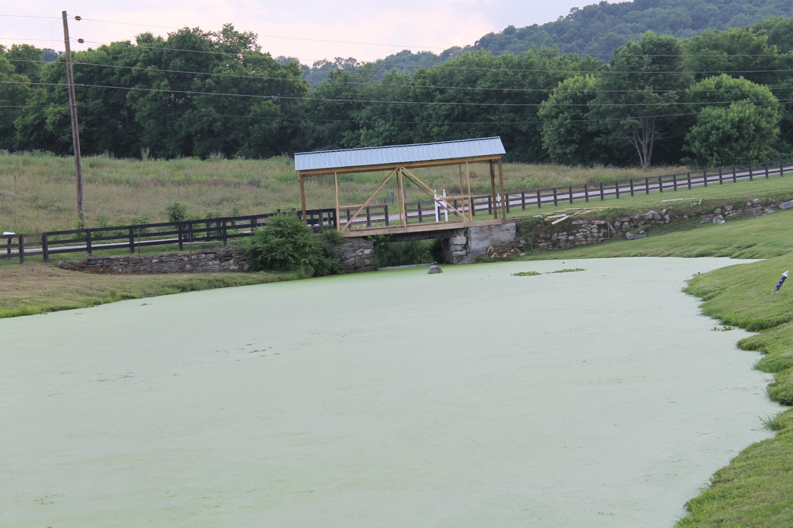 The Niemeyer Nest Pullen Mill Farm