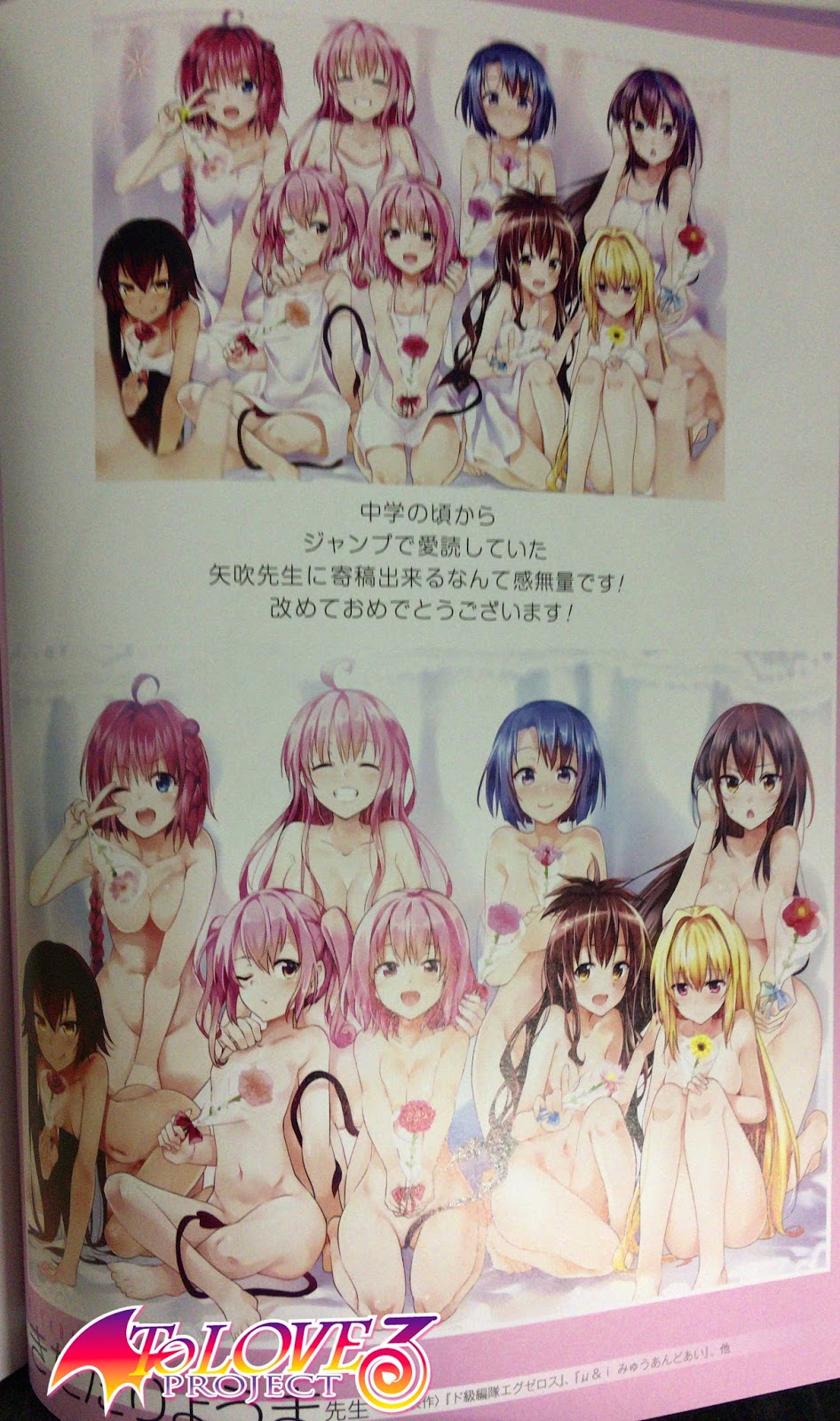 Todas as 22 ilustrações de mangakás em homenagem a To Love Ru