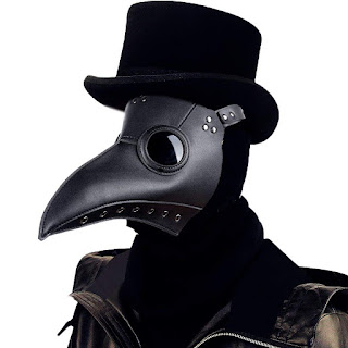 Plague Doctor Bird Mask