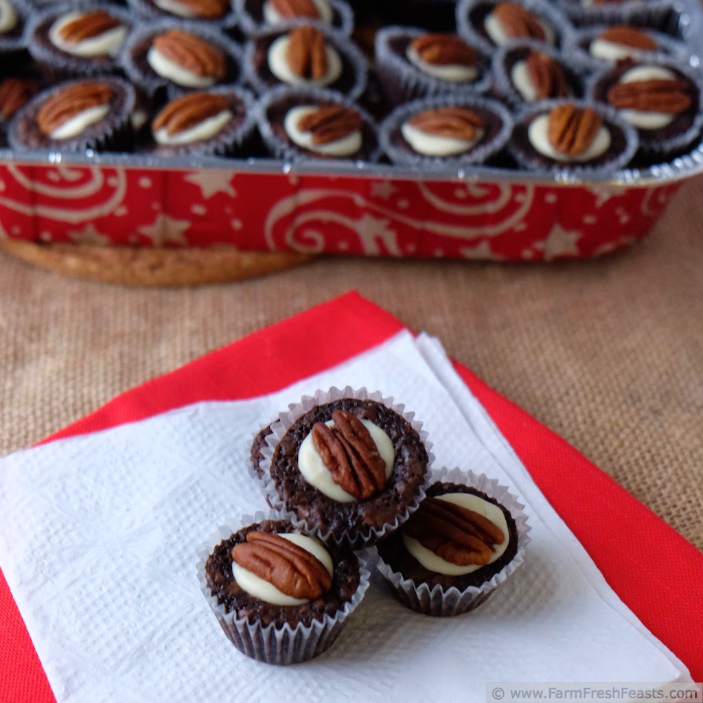 http://www.farmfreshfeasts.com/2014/12/pecan-brownie-bites-for-cookie-drive.html