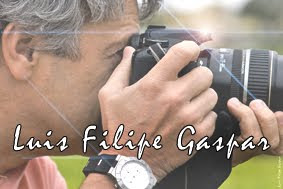Luis Filipe Gaspar