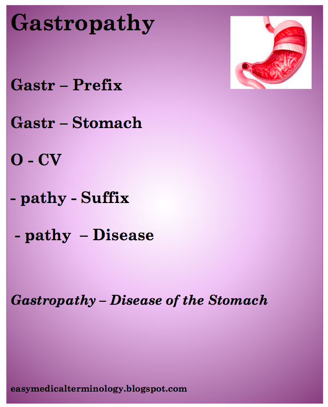 Easy Medical Terminology Gastropathy Stomach Disease Free Poster