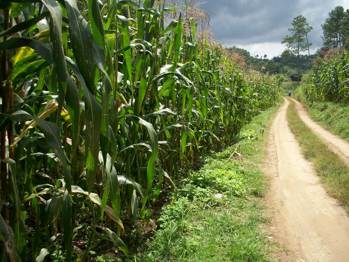 CITYMAX ANTIGUA TERRENO EN VENTA EN CARRETERA SUMPANGO SACATEPEQUEZ