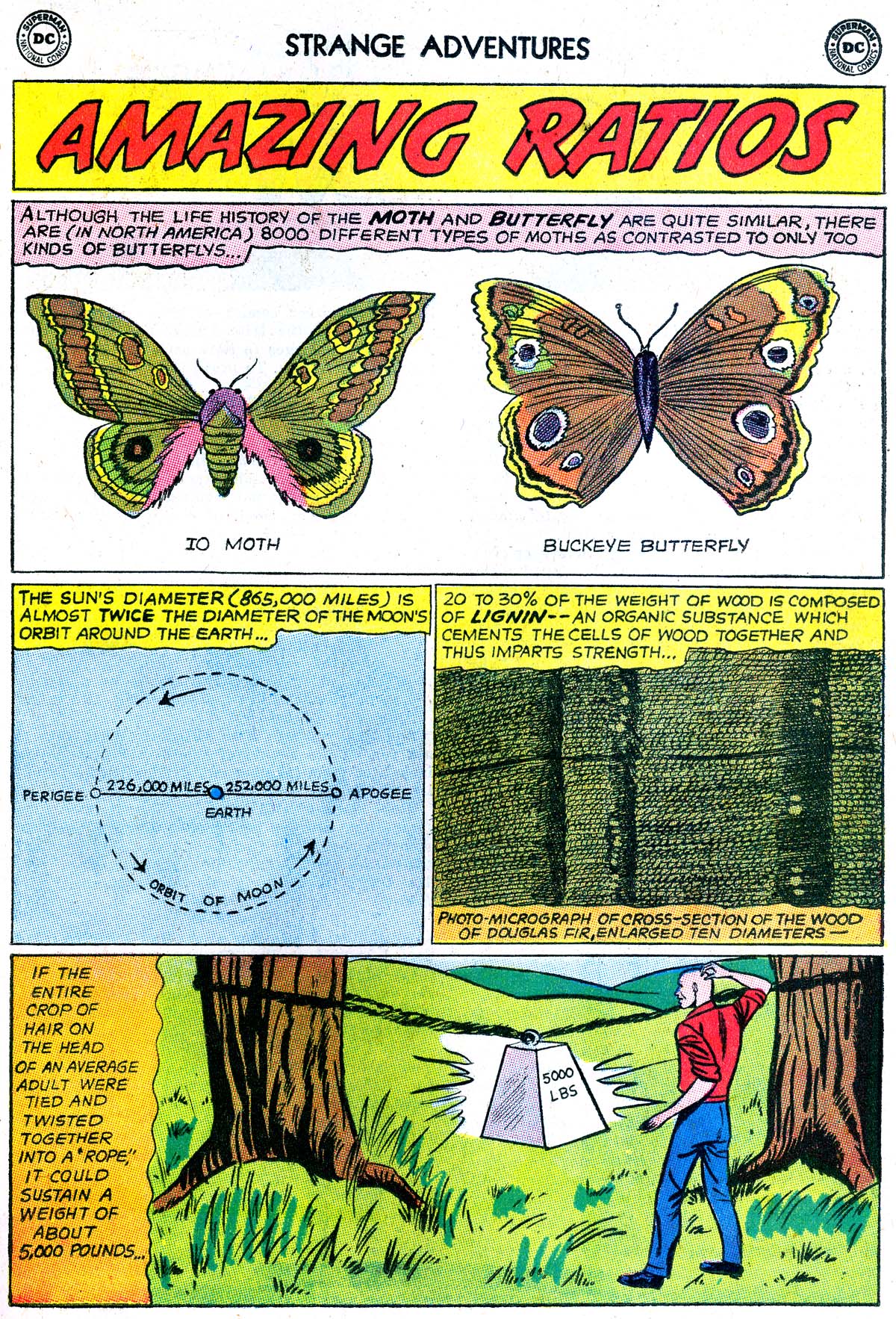 Read online Strange Adventures (1950) comic -  Issue #159 - 19