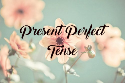 32++ Contoh soal bahasa inggris kelas 9 tentang present perfect tense information