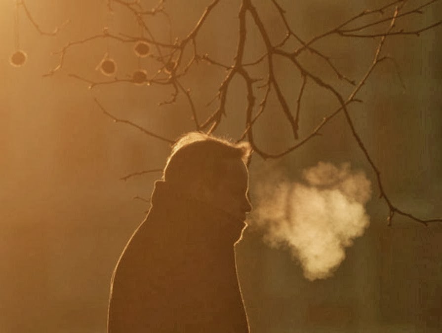 A Year of Being Here David Whyte "Sometimes"