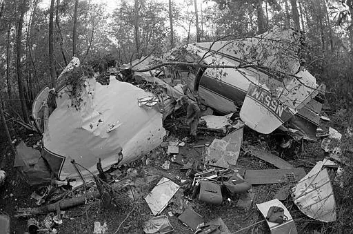 Lynyrd Skynyrd Plane Crash