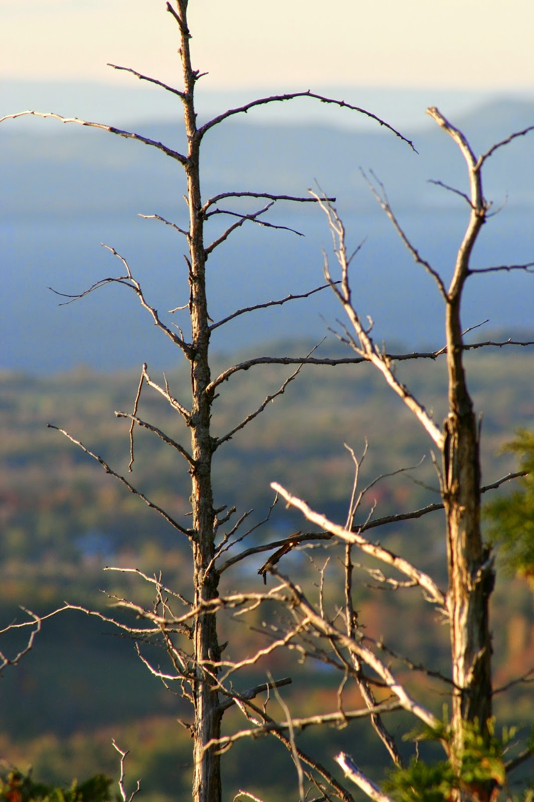 Getting Outside During Stick Season