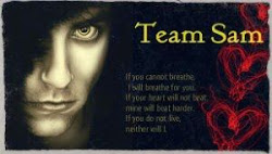 Team Sam - Heven and Hell Series