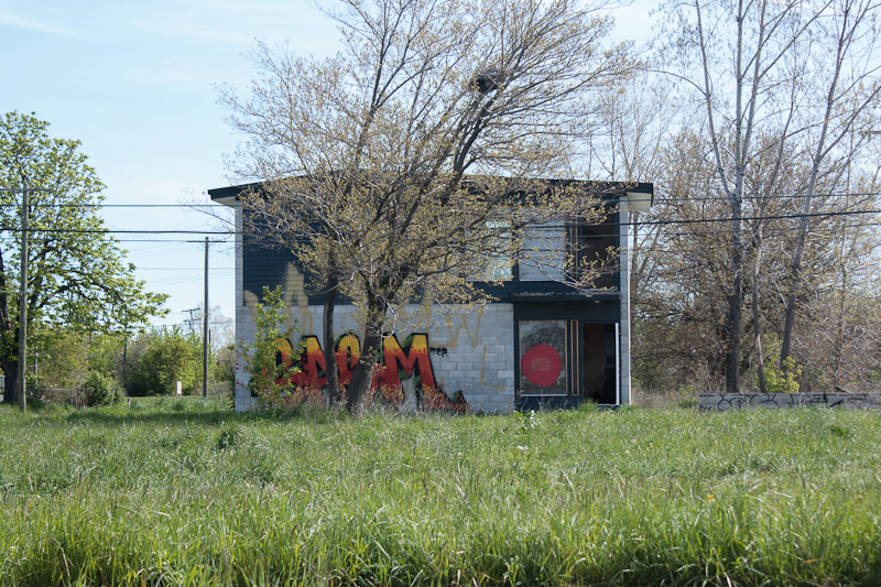 Faded Detroit Back To Nature