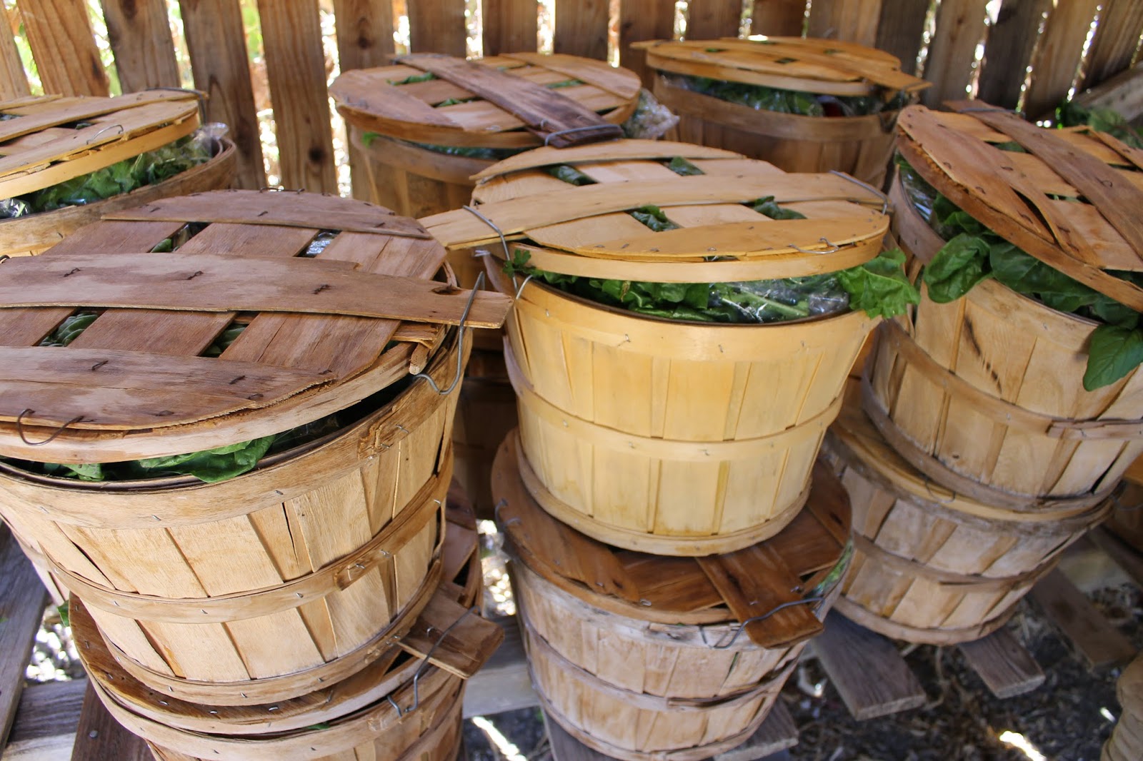 Eclectic Arcania Picture of the Day Half Bushel Baskets