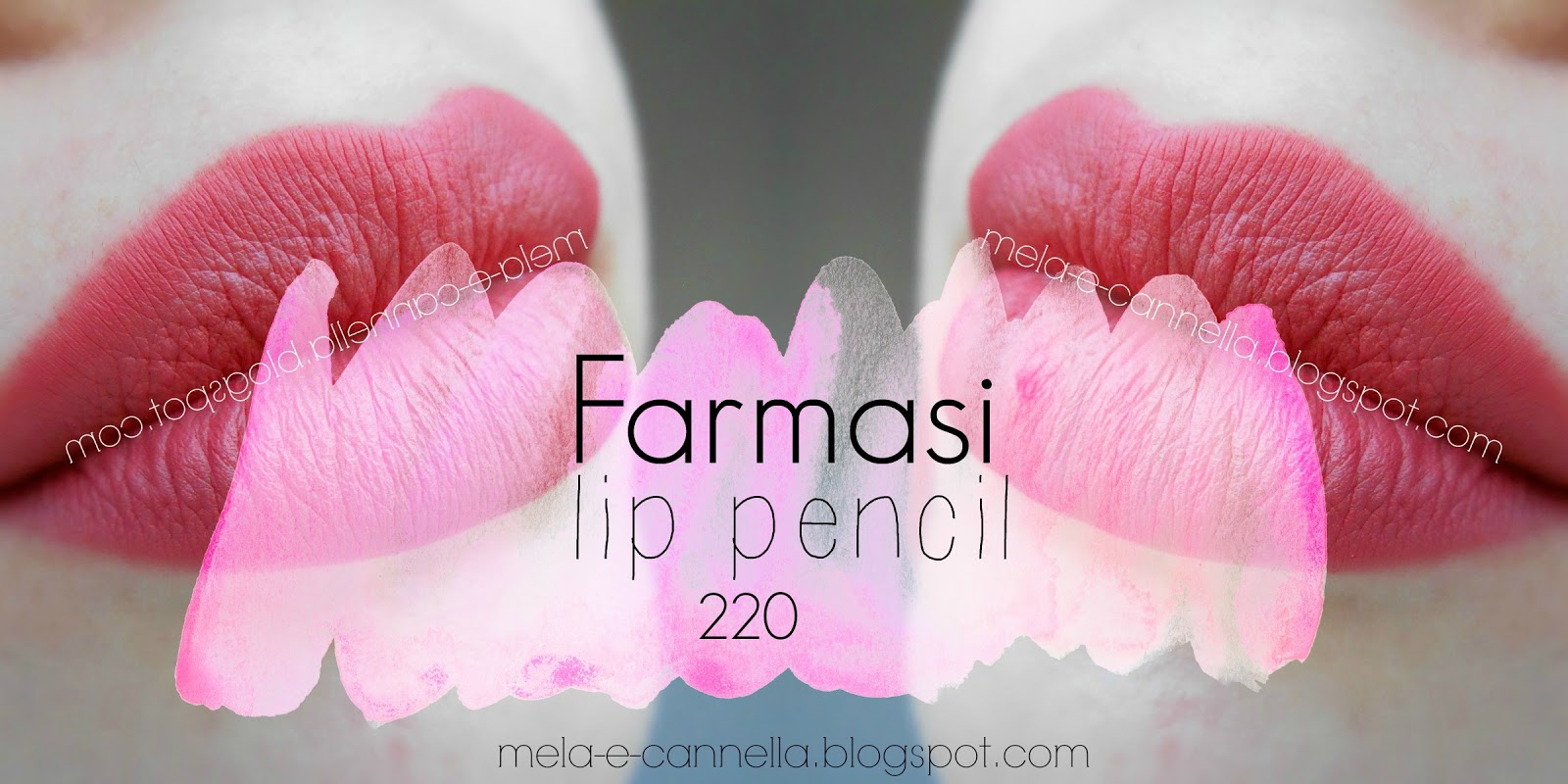 melaecannella Farmasi lip pencil 220
