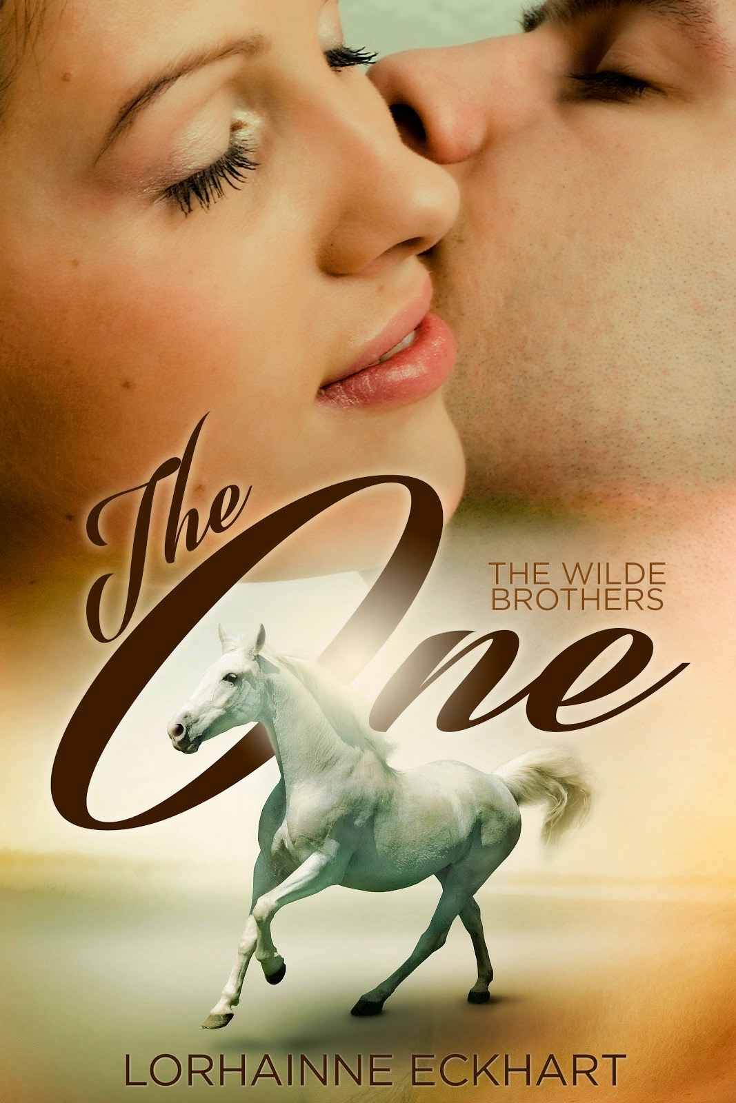 SERIES FEATURE ~ THE WILDE BROTHERS: The One, Book 1