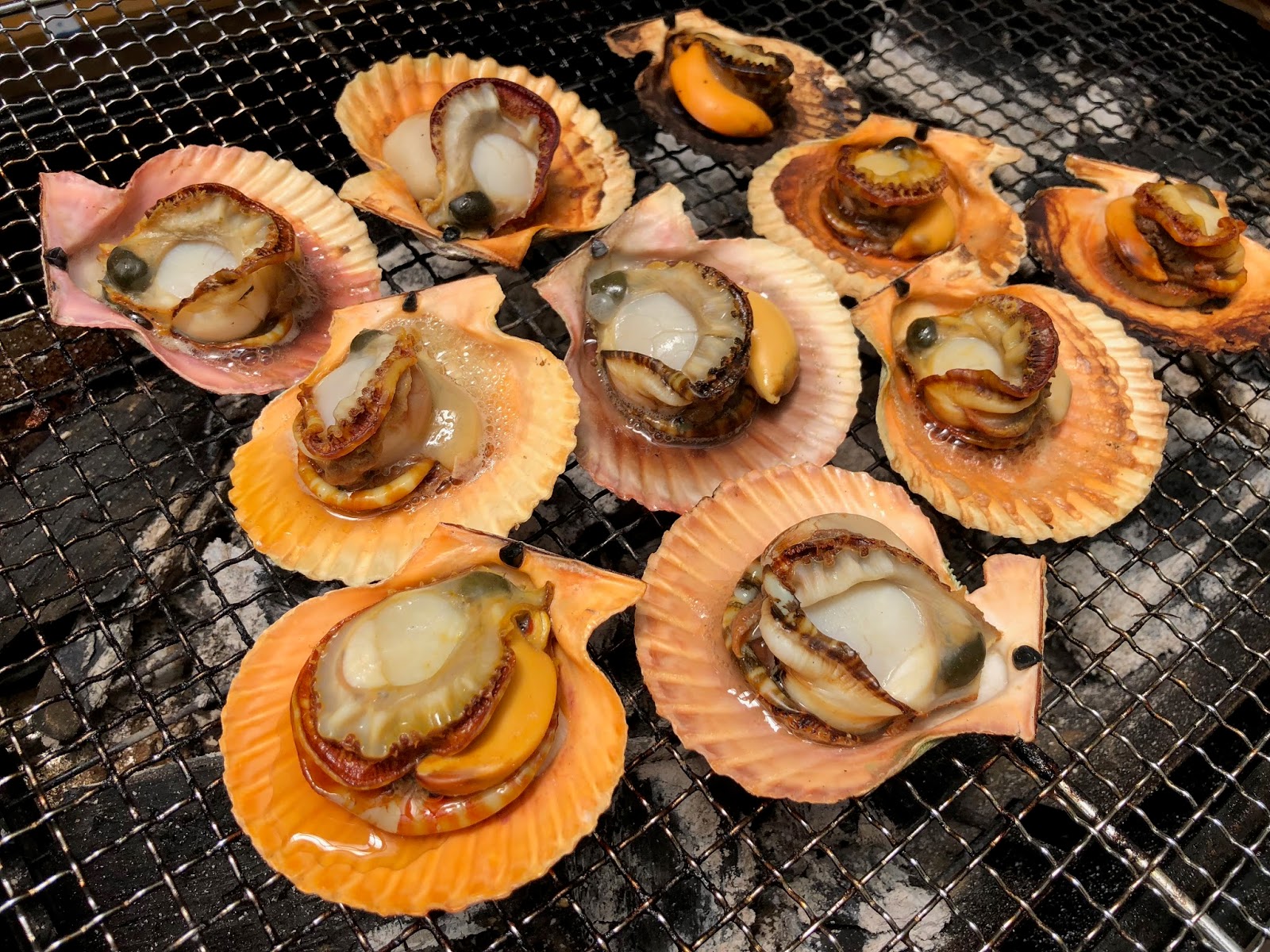大分名産のヒオウギ貝はバーベキューでも美味しく食べれるのか実際に焼きまくって確かめてみた