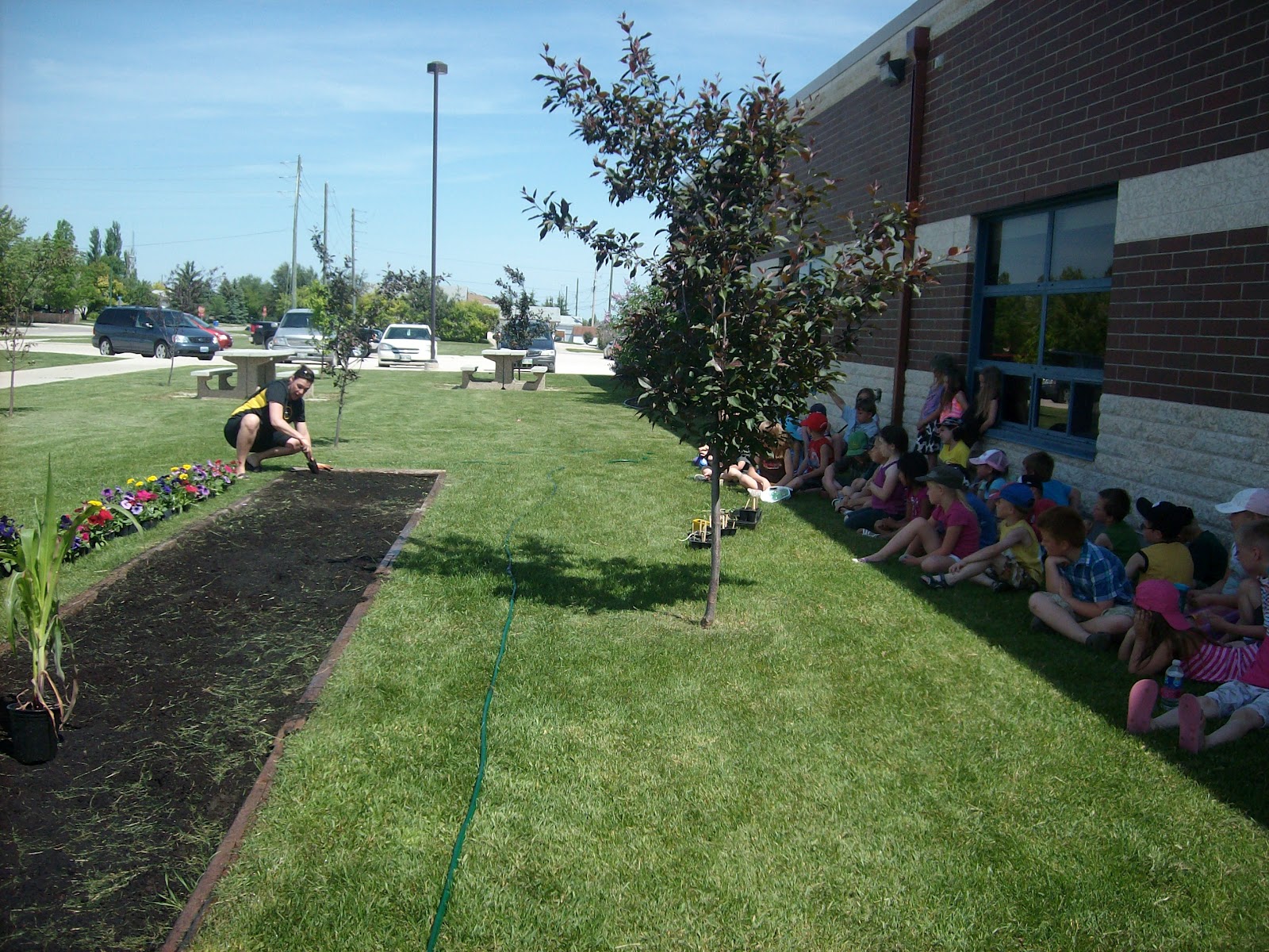 people and nature matter Planting our Front Flower Garden and More