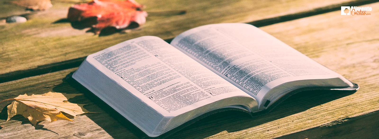 Featured image of post Capas Crist s Para Facebook