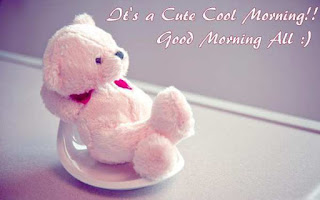 teddy good morning teddy good morning
