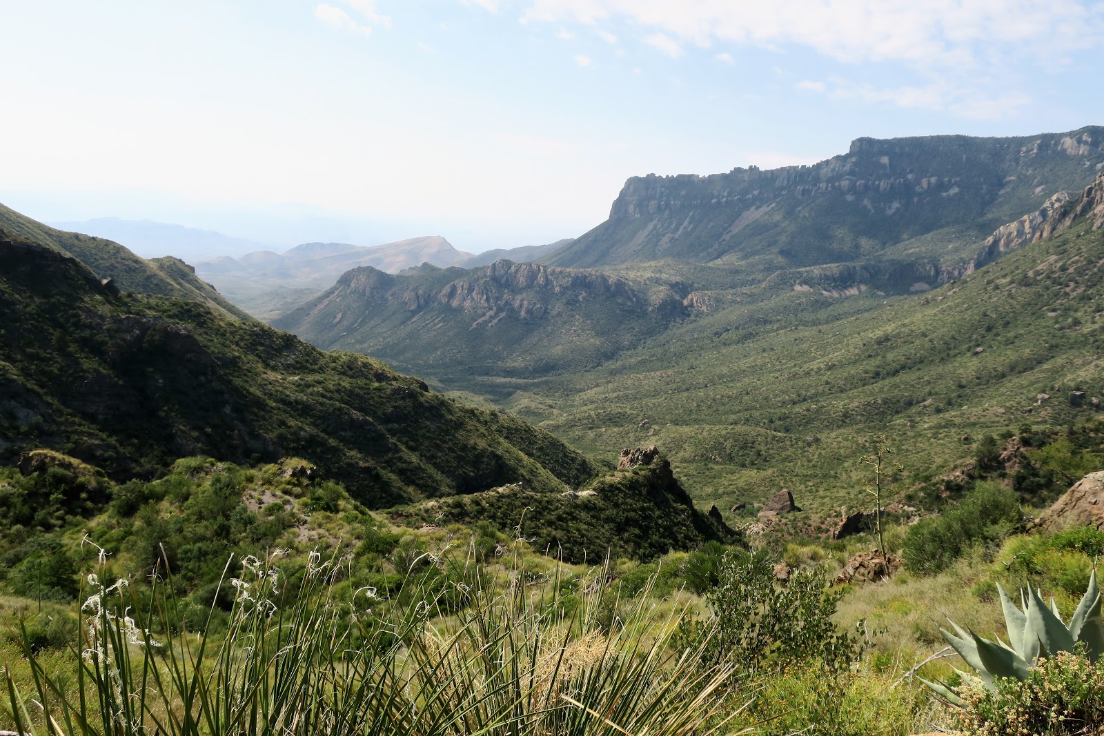 Living Rootless Big Bend National Park Old Mines Trail