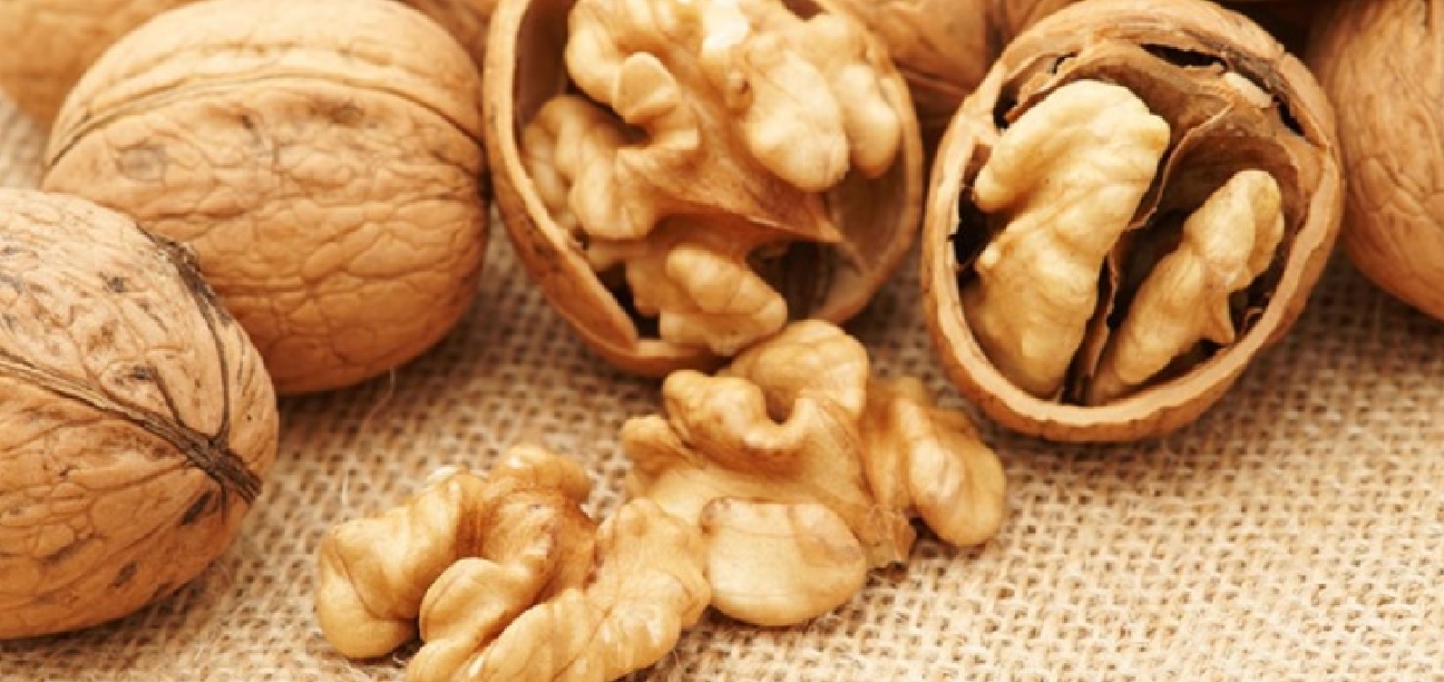 Here’s What Will Happen If You Eat Only 7 Walnuts A Day! THE LOGICAL