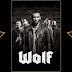 Wolf 2013