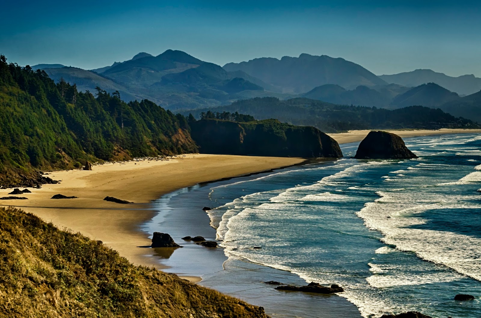 Willamette Valley Greyhound Lovers! 5 Ways To RV The Oregon Coast For