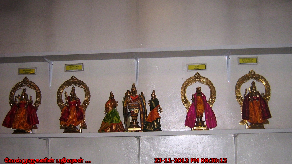 concord murugan temple concord murugan temple