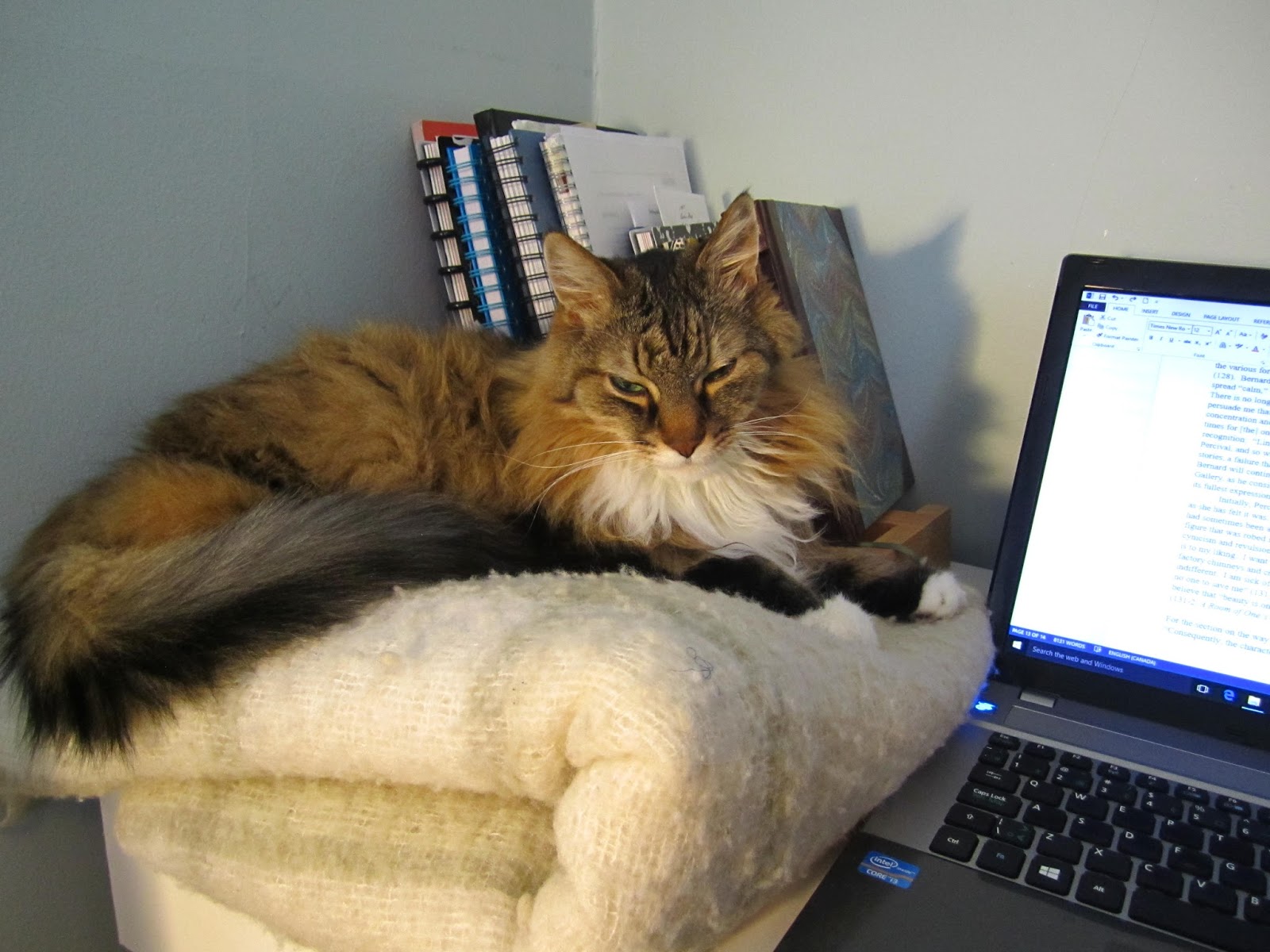 Blue Duets In Praise Of Cats