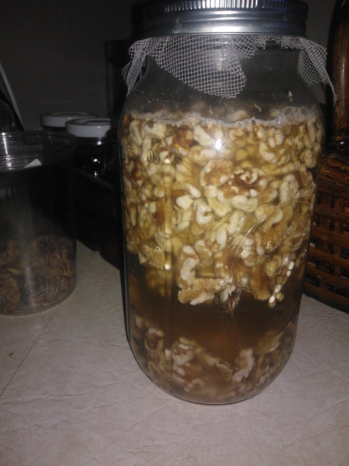 The New Suburban Pioneer: In the Kitchen - Why I soak my nuts - sprouting