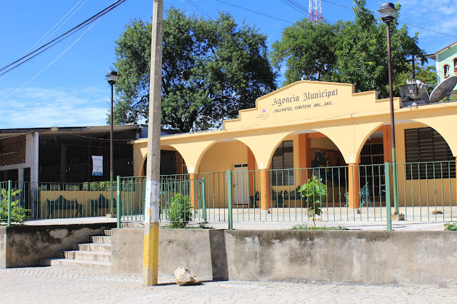 “Caso Collantes”, problema interno: edil de Pinotepa